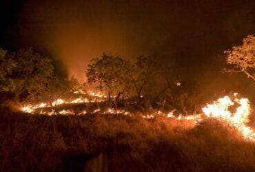 20-02-2024 Queimadas e incêndios em Amajari – Roraima - Foto Jader Souza/AL Roraima