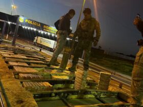 Motorista é preso com 450 kg de pasta base de cocaína dentro de caminhão em rodovia de Mato Grosso