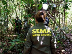 Governo de Mato Grosso aplica R$ 303 milhões em multas por crimes ambientais no primeiro quadrimestre de 2024