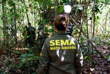 Governo de Mato Grosso aplica R$ 303 milhões em multas por crimes ambientais no primeiro quadrimestre de 2024