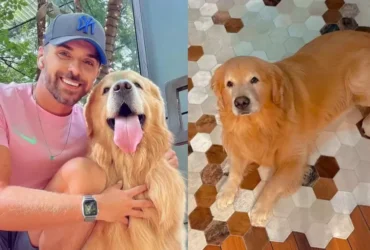 Defensoria Pública de Mato Grosso move ação contra a Gol por morte do cão Joca em tansporte aéreo