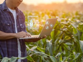 Inteligencia artificial agroindustria