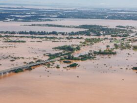 Mato Grosso anuncia doação de R$ 50 milhões para reconstrução no Rio Grande do Sul