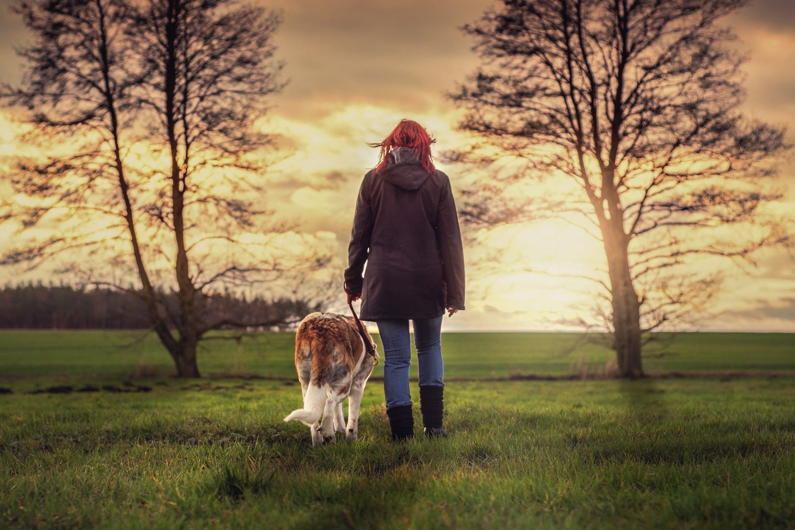 Paisagem com mulher passeando com um cachorro - Fotos do Canva