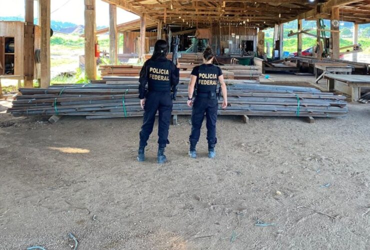 Polícia Federal realiza Operação Ankara contra extração clandestina de madeira em Terra Indígena Aripuanã