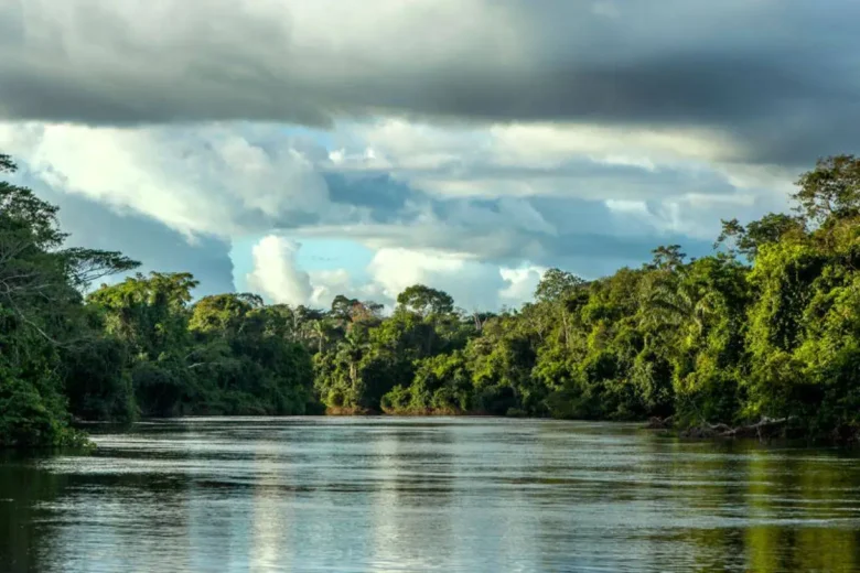 Procuradoria Geral de Mato Grosso avalia recurso sob pressão