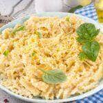 Receita de macarrão com molho branco