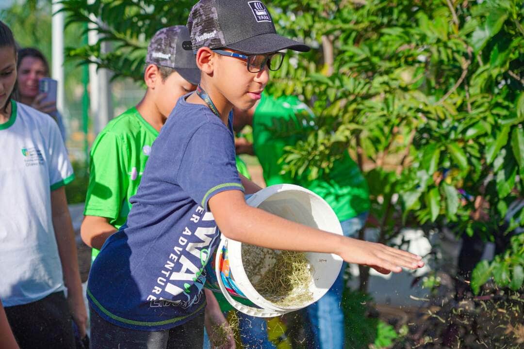alunos e profissionais da rede municipal participam de oficina de compostagem interna 2 2024 05 20 1591602828