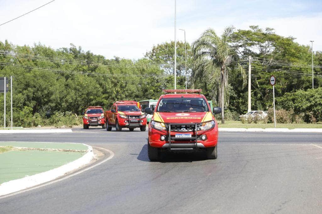 bombeiros e caes farejadores de mt iniciam operacoes no rio grande do sul na segunda feira 06 interna 2 2024 05 05 413778036