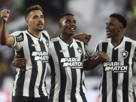 botafogo, vitória, copa do brasil Por: Vitor Silva/Botafogo/Direitos Reservados