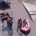 Égua Caramelo é resgatada depois de ficar ilhada em telhado em Canoas - Reprodução/GloboNews