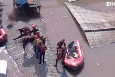 Égua Caramelo é resgatada depois de ficar ilhada em telhado em Canoas - Reprodução/GloboNews
