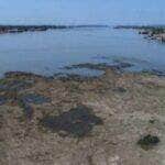 Estiagem começa no Pantanal com rios e chuvas abaixo da média histórica - SGB