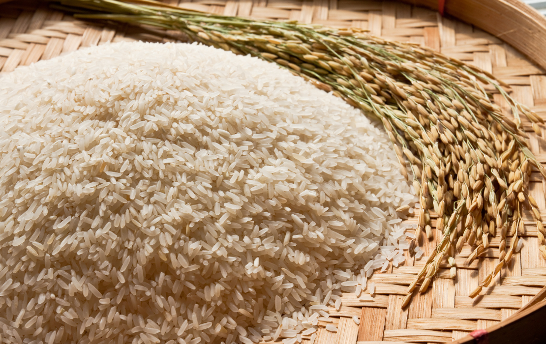 Governo Federal publica medida para recomposição de estoques públicos de arroz