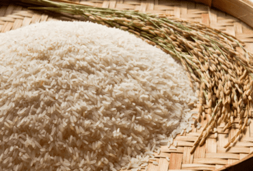 Governo Federal publica medida para recomposição de estoques públicos de arroz