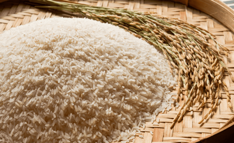 Procon de Mato Grosso monitora preço do arroz e outros produtos após enchentes no Rio Grande do Sul
