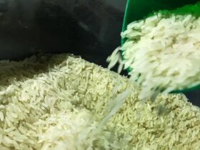 Governo libera mais R$ 6,7 bi para garantir arroz a preço justo no prato - Conab/arquivo