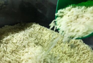 Governo libera mais R$ 6,7 bi para garantir arroz a preço justo no prato - Conab/arquivo