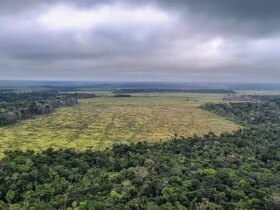 Governador de Mato Grosso propõe medidas rigorosas contra desmatamento ilegal