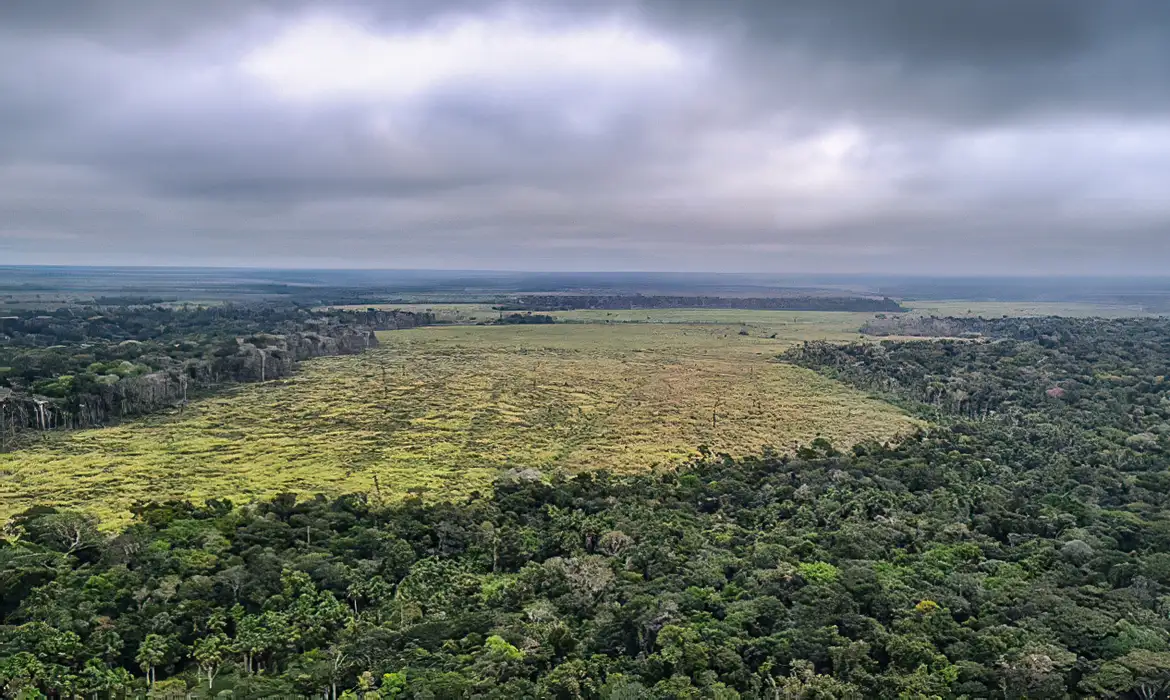 Governador de Mato Grosso propõe medidas rigorosas contra desmatamento ilegal