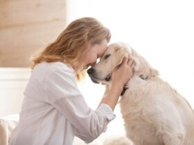 mulher abraçando seu amado cachorro branco grande. Conceito de comunicação animal - Fotos do Canva