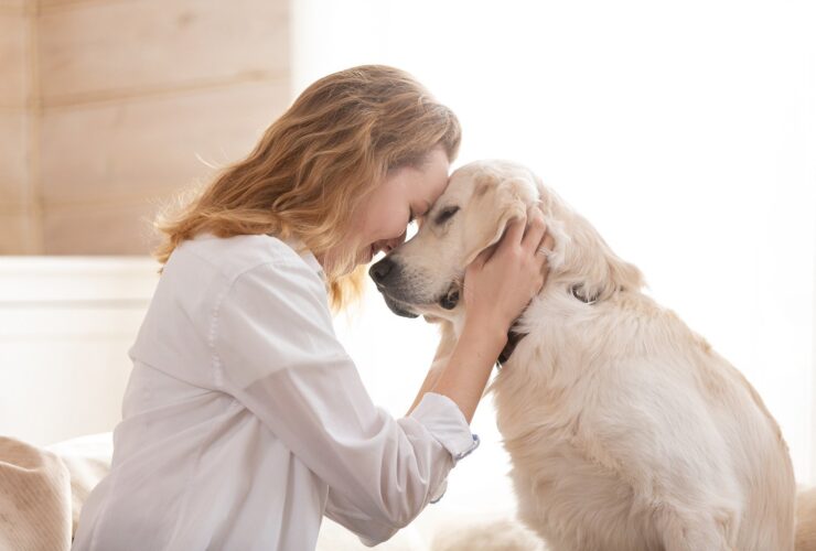 mulher abraçando seu amado cachorro branco grande. Conceito de comunicação animal - Fotos do Canva