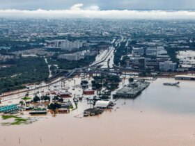 Assembleia Legislativa de Mato Grosso aprova doação de R$ 50 milhões para recuperação do Rio Grande do Sul   Foto: Ricardo Stuckert / PR