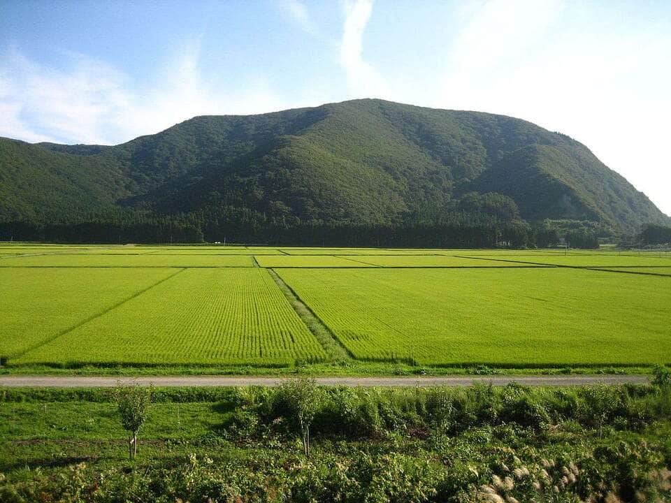 Agro do Futuro: Satélites japoneses revolucionam o setor