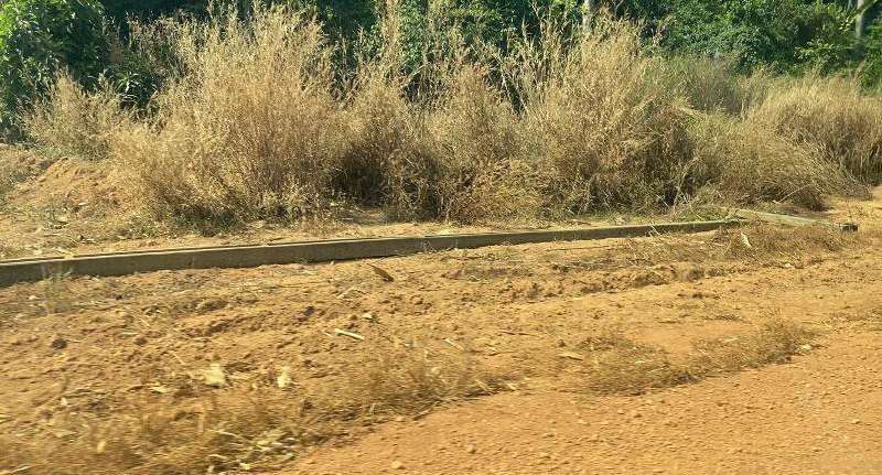 Motorista de caminhão morre eletrocutado após caçamba atingir fiação de alta tensão em Nova Mutum