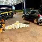 50kg de drogas apreendidas em ação da PRF na BR-364 em Rondonópolis