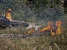 Bombeiros realizam queima prescrita para preservação do Cerrado em Chapada dos Guimarães