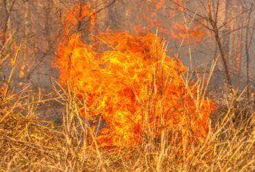 Emergências climáticas - Fotos do Canva