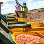 Mato Grosso lidera adoção de bioinsumos