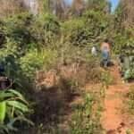 Corpo de mulher é encontrado decapitado em São José do Rio Claro (MT)
