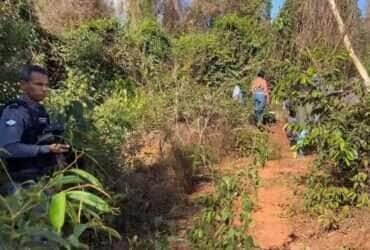 Corpo de mulher é encontrado decapitado em São José do Rio Claro (MT)