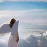 anjo