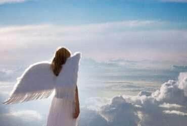 anjo