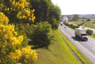 ANTT: no feriado, acidentes fatais caem 28% em rodovias sob concessão - ANTT/divulgação