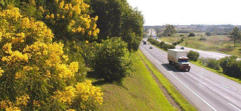 ANTT: no feriado, acidentes fatais caem 28% em rodovias sob concessão - ANTT/divulgação