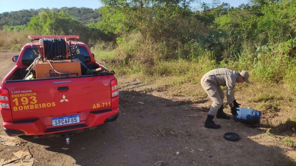 Jiboia é encontrada em quintal de residência 2 Bombeiro realizando a soltura da cobra que foi capturado no quintal de uma residência - Foto por: CBMMT