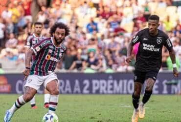 Fluminense, Botafogo, brasileiro Por: Marcelo Goncalves/Fluminense F. C. /Direitos Reservados