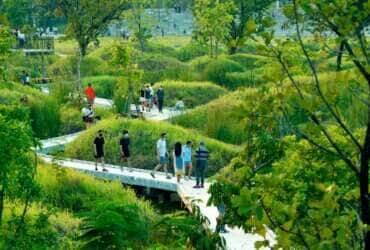 China. Projeto de cidade-esponja do paisagista e arquiteto chinês Kongjian Yu. Jinhua Harbin Qunli Stormwater Park. Foto Divulgação escritório Turenscape Por: Foto Divulgação escritório Turenscape