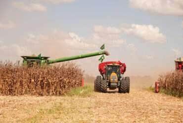 Comercialização alcançou 69,70% da produção estimada para o Estado em agosto