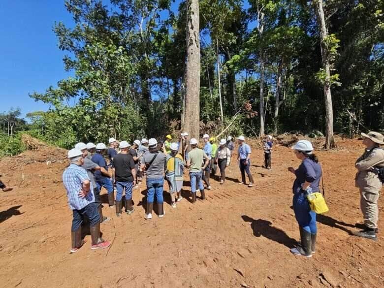 evento setor florestal