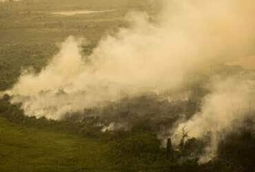 Mato Grosso: epicentro do fogo