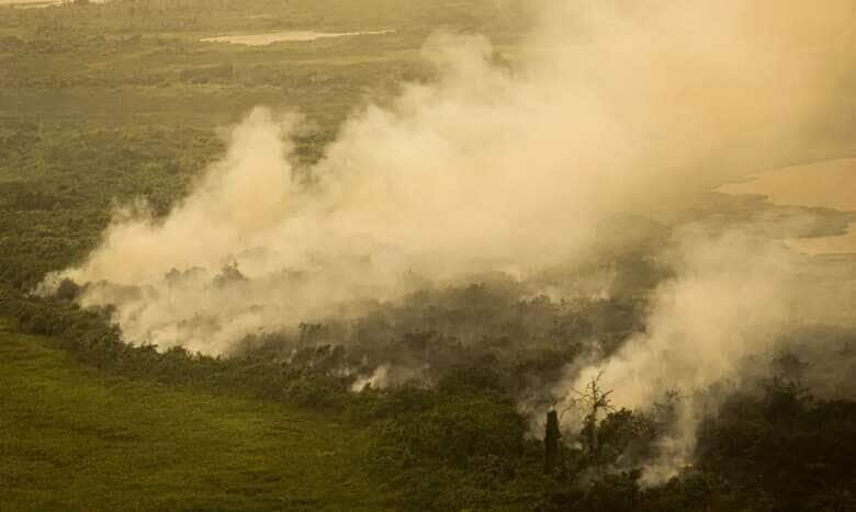Mato Grosso: epicentro do fogo