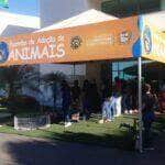 feira de adocao de animais