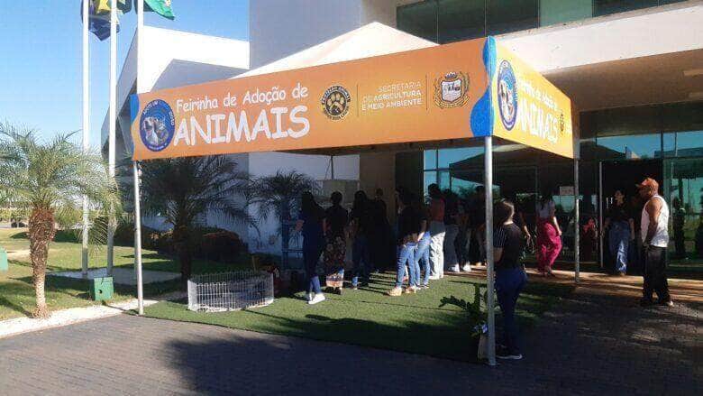 feira de adocao de animais