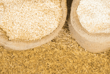 Governo Federal compra mais de 260 mil toneladas de arroz para estoques públicos