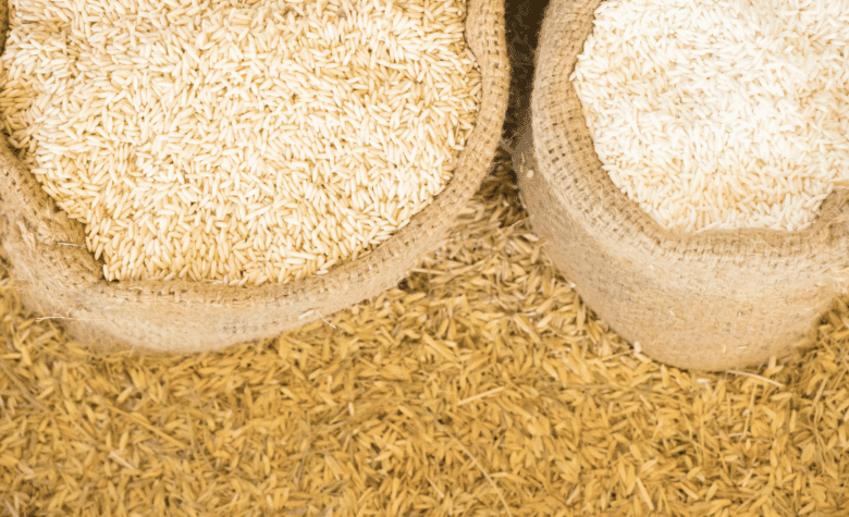 Governo Federal compra mais de 260 mil toneladas de arroz para estoques públicos